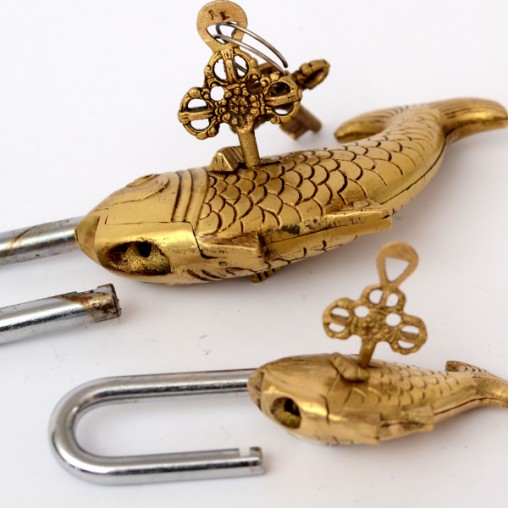 padlock fish